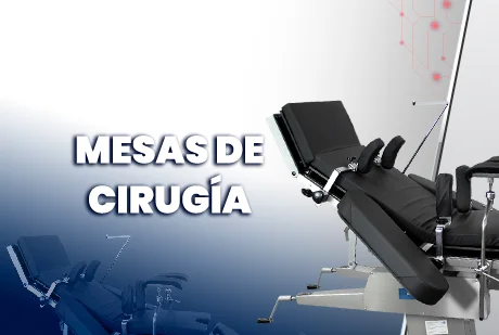 CATEGORIA 1