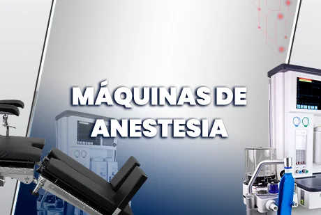 CATEGORIA 2