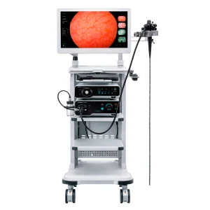 Sistema de video endoscopia